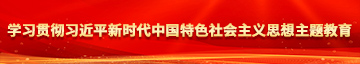 黑色丝袜扣逼口交学习贯彻习近平新时代中国特色社会主义思想主题教育